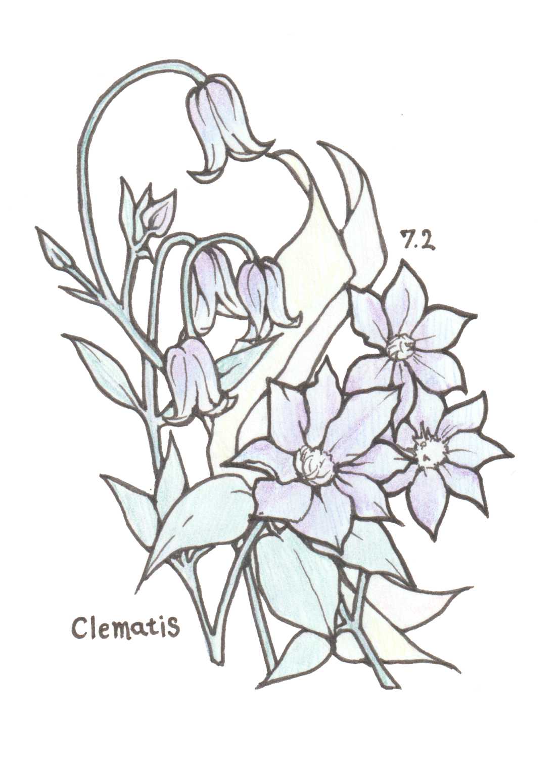 7月2日