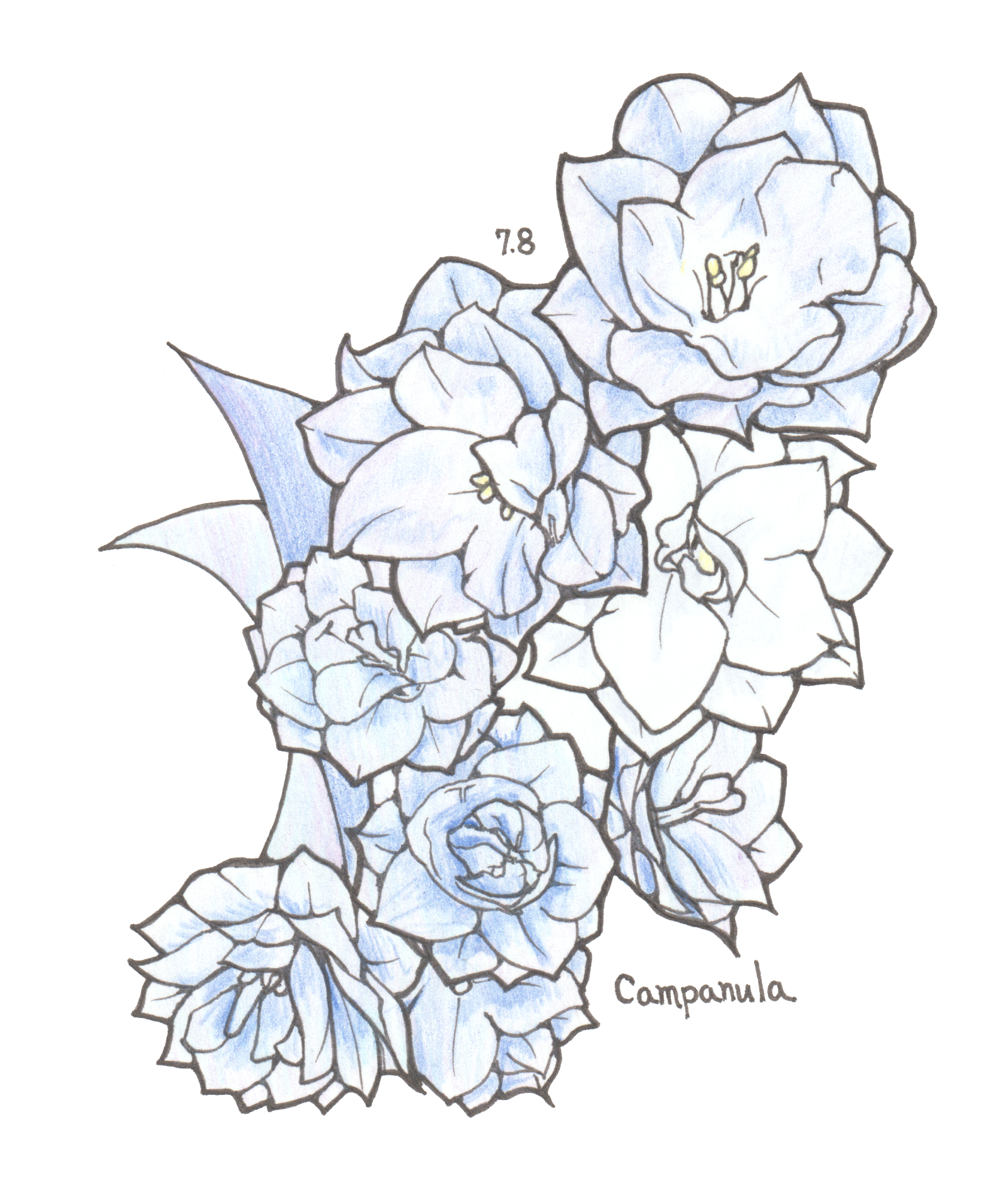 7月8日