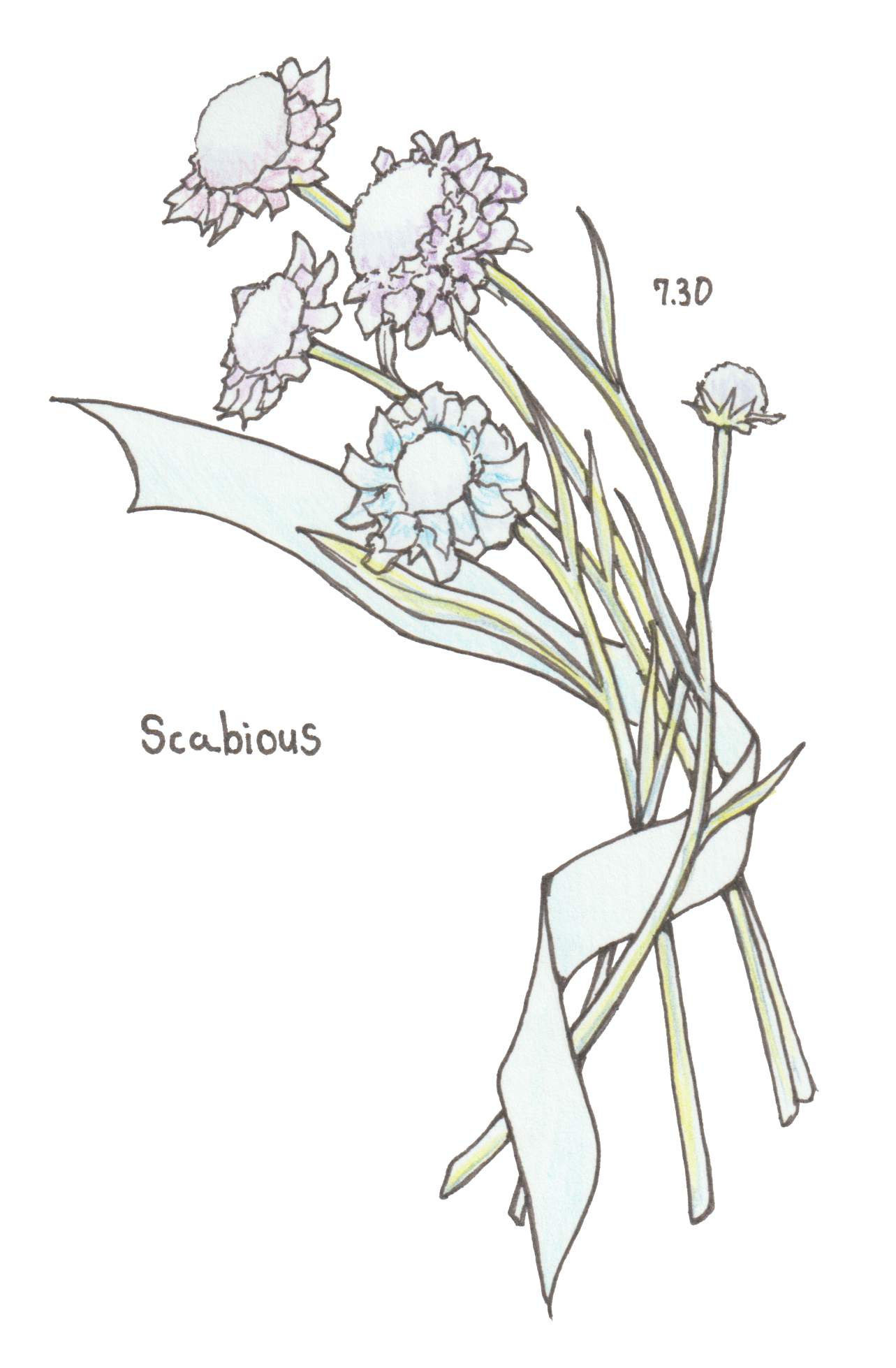 7月30日
