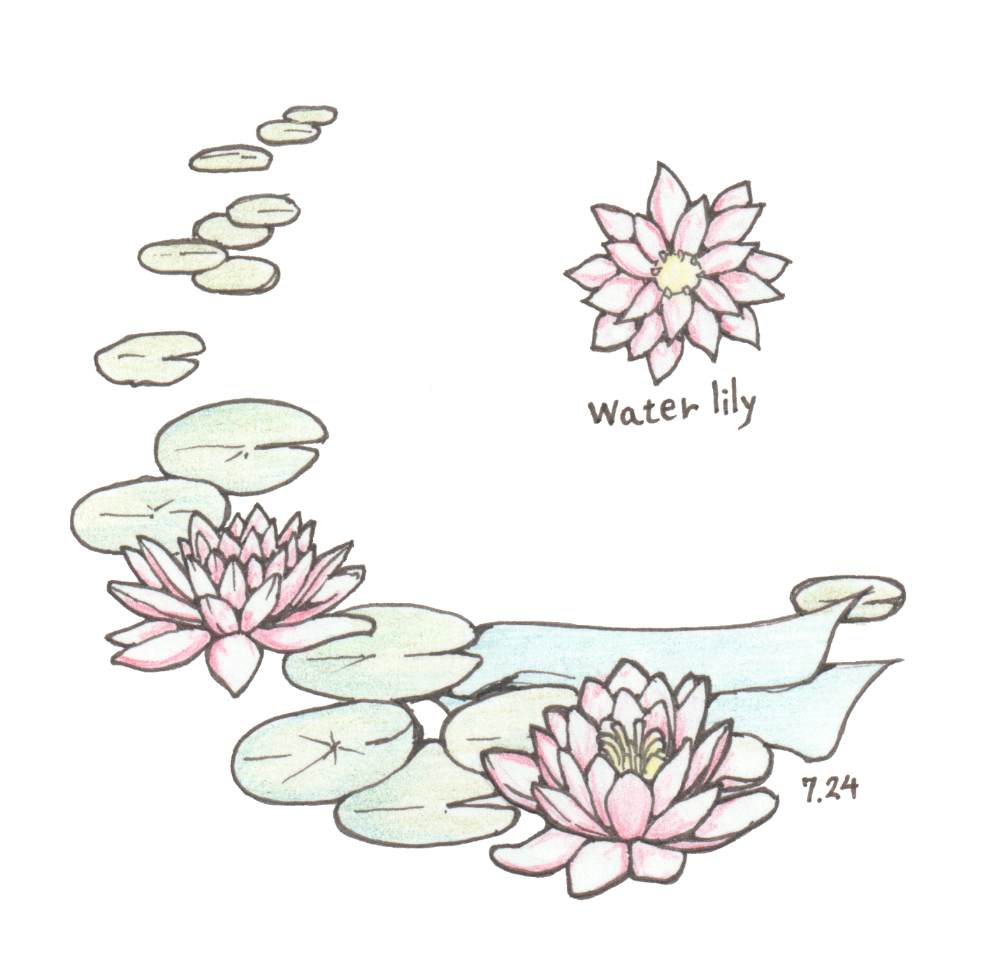 7月24日