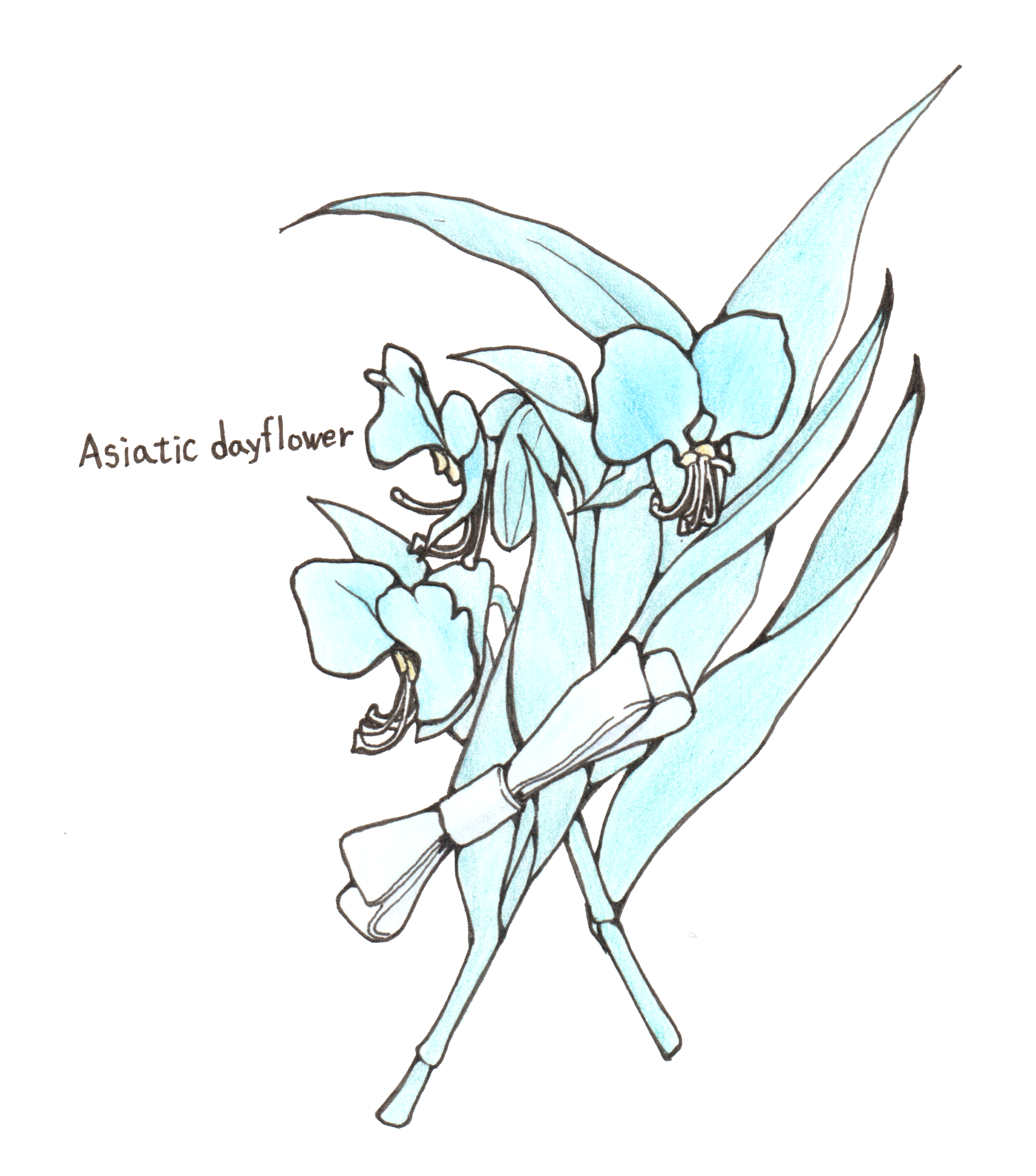 7月28日