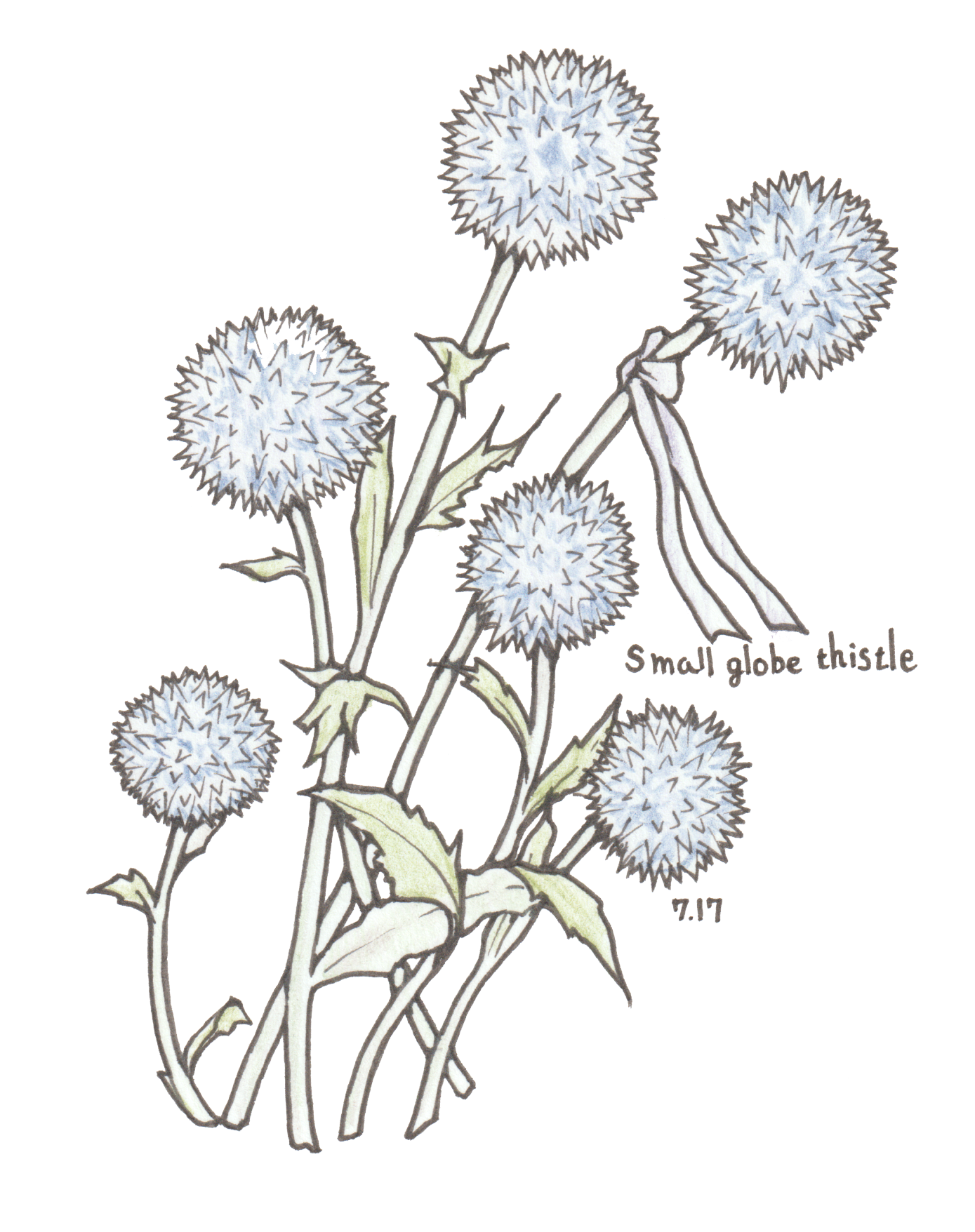 7月17日