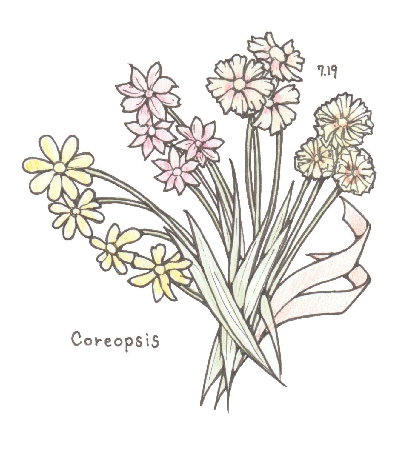 7月19日
