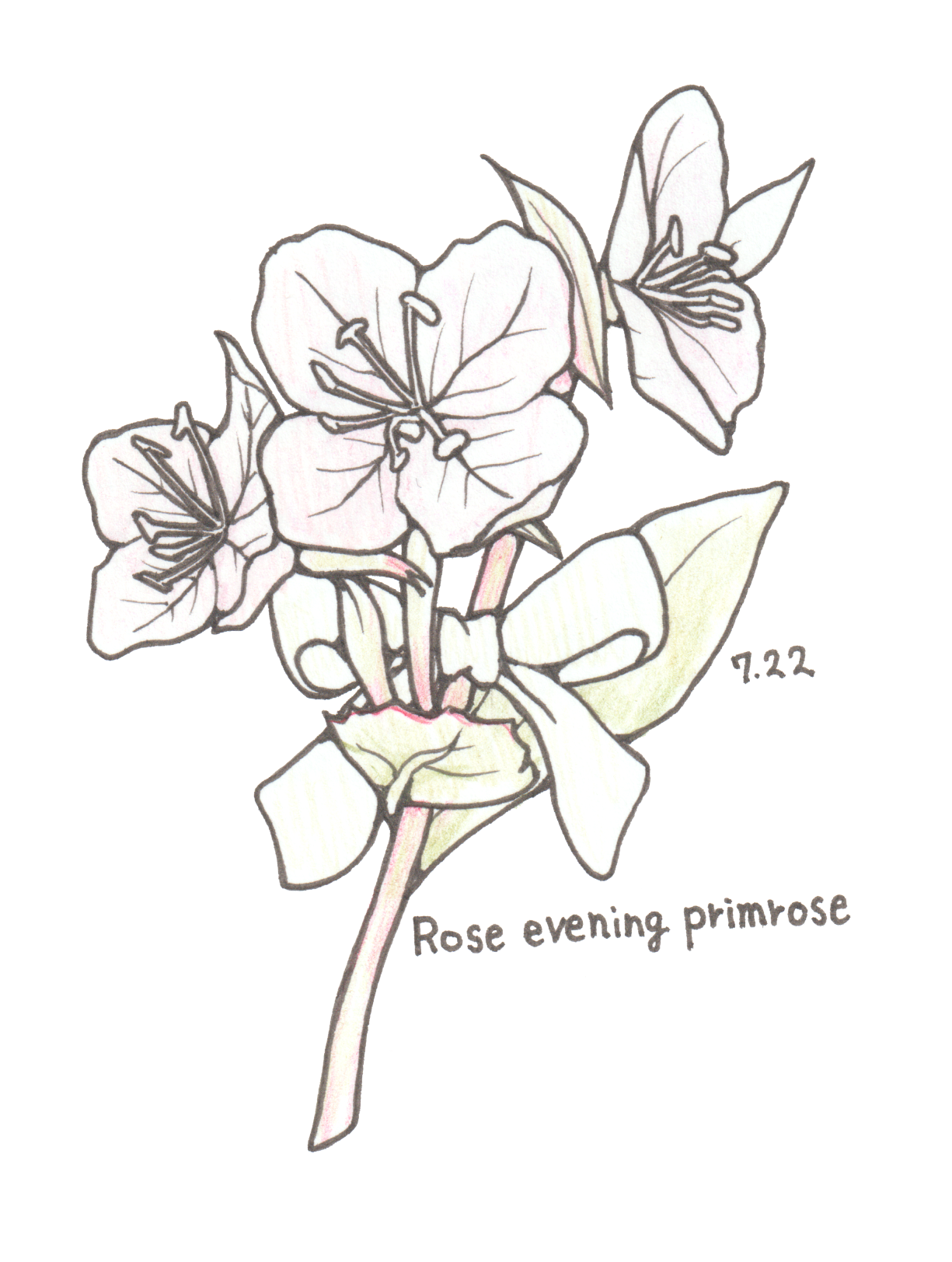 7月22日