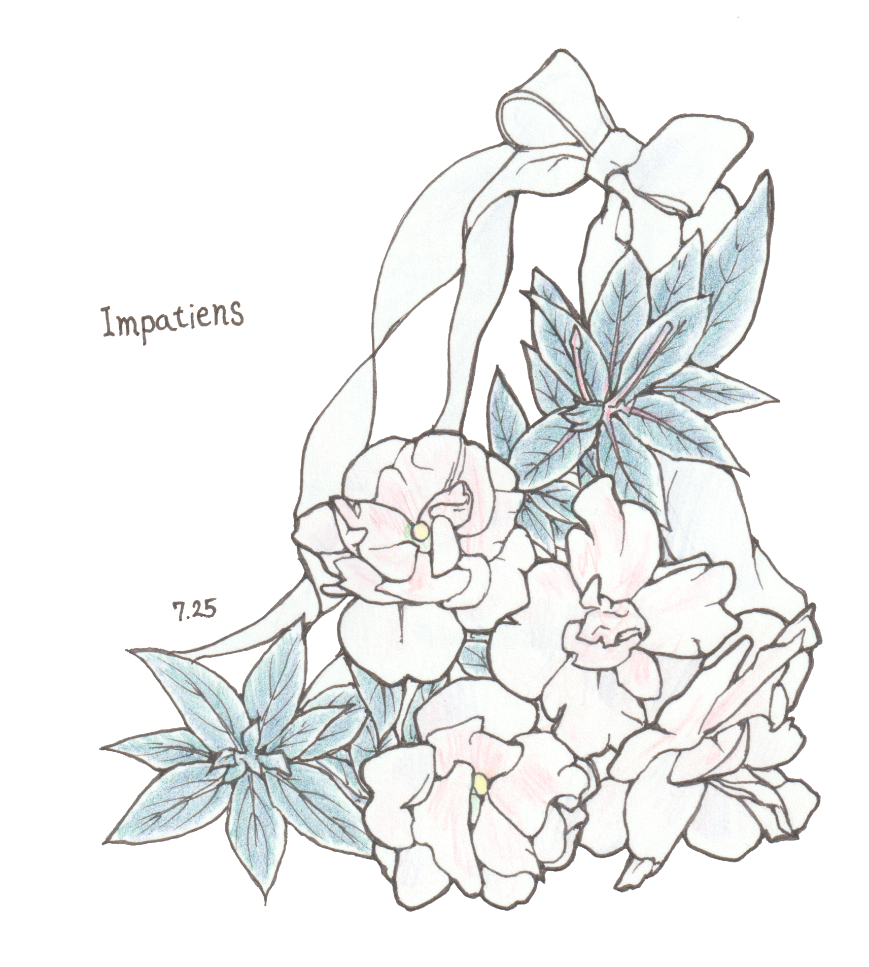 7月25日