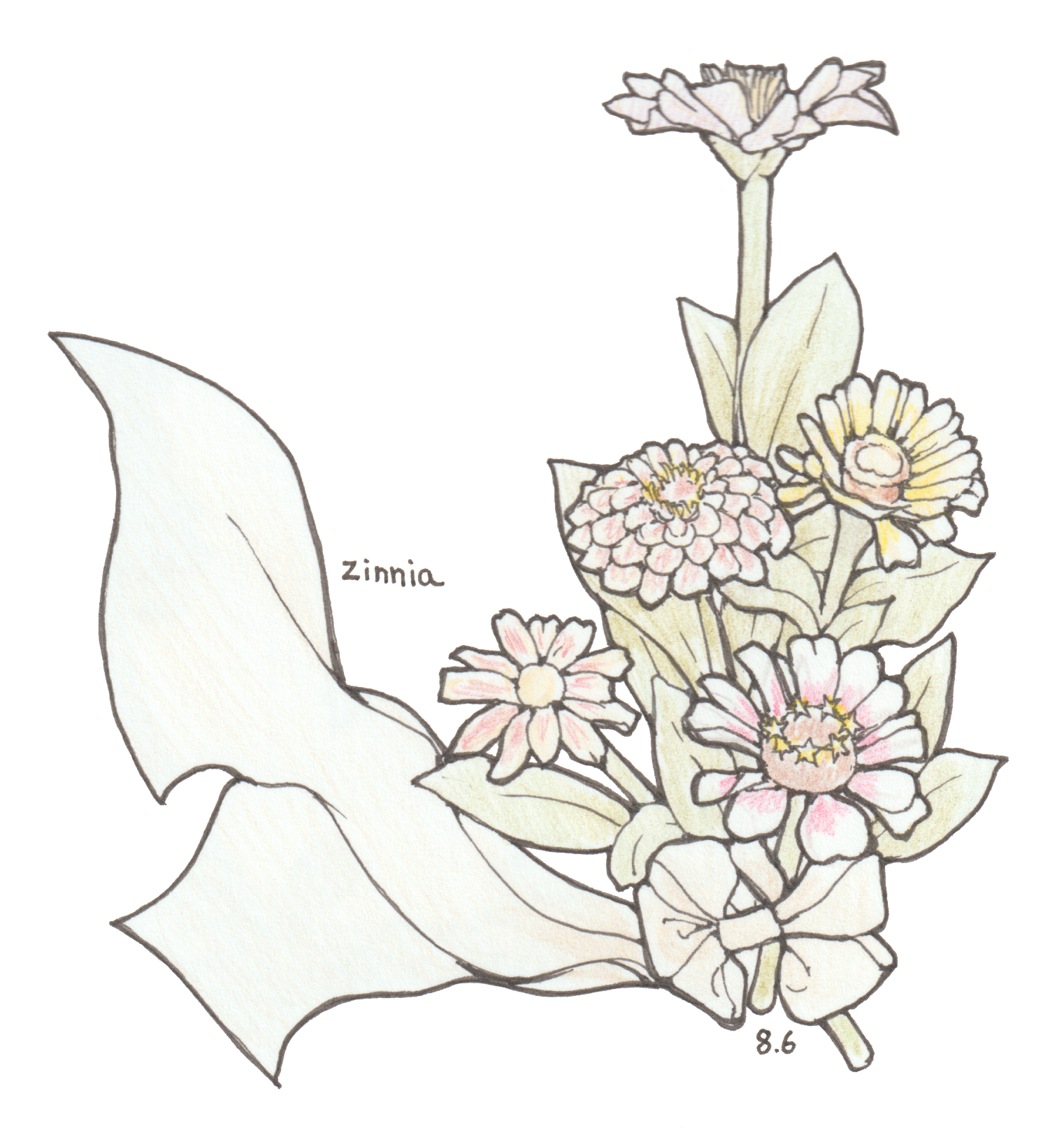 8月6日