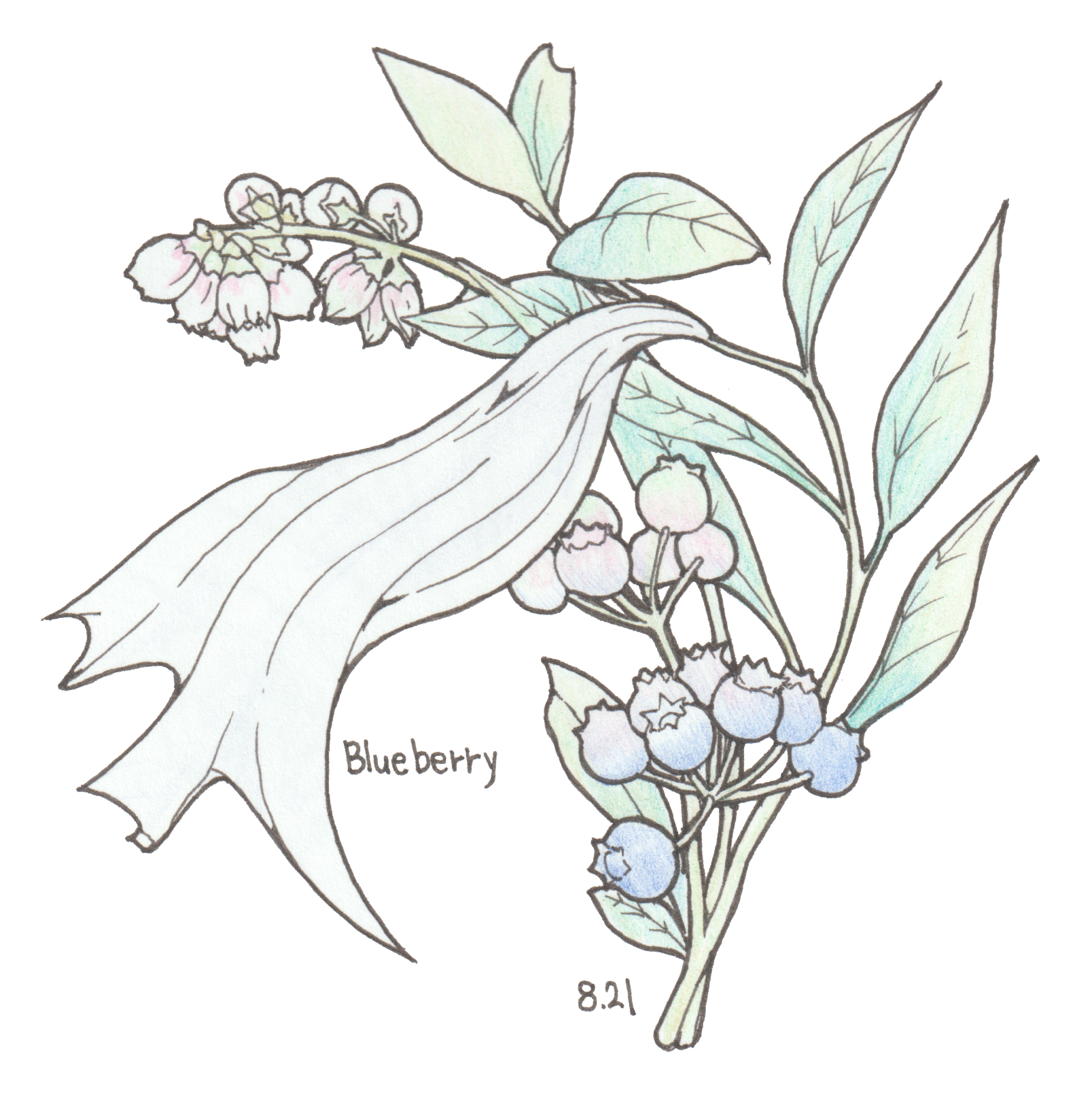 8月21日