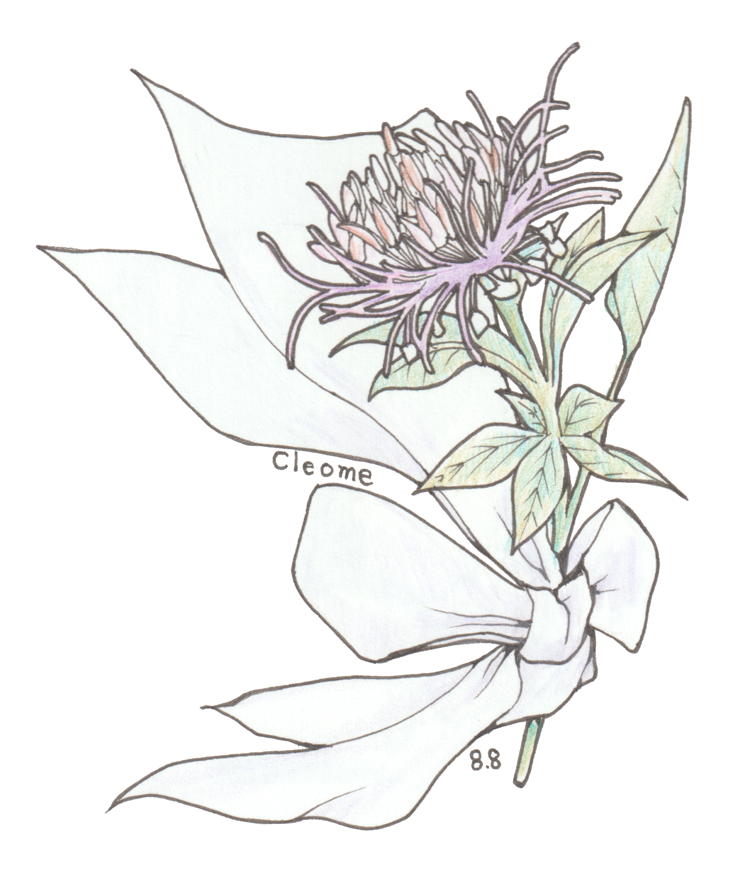 8月8日