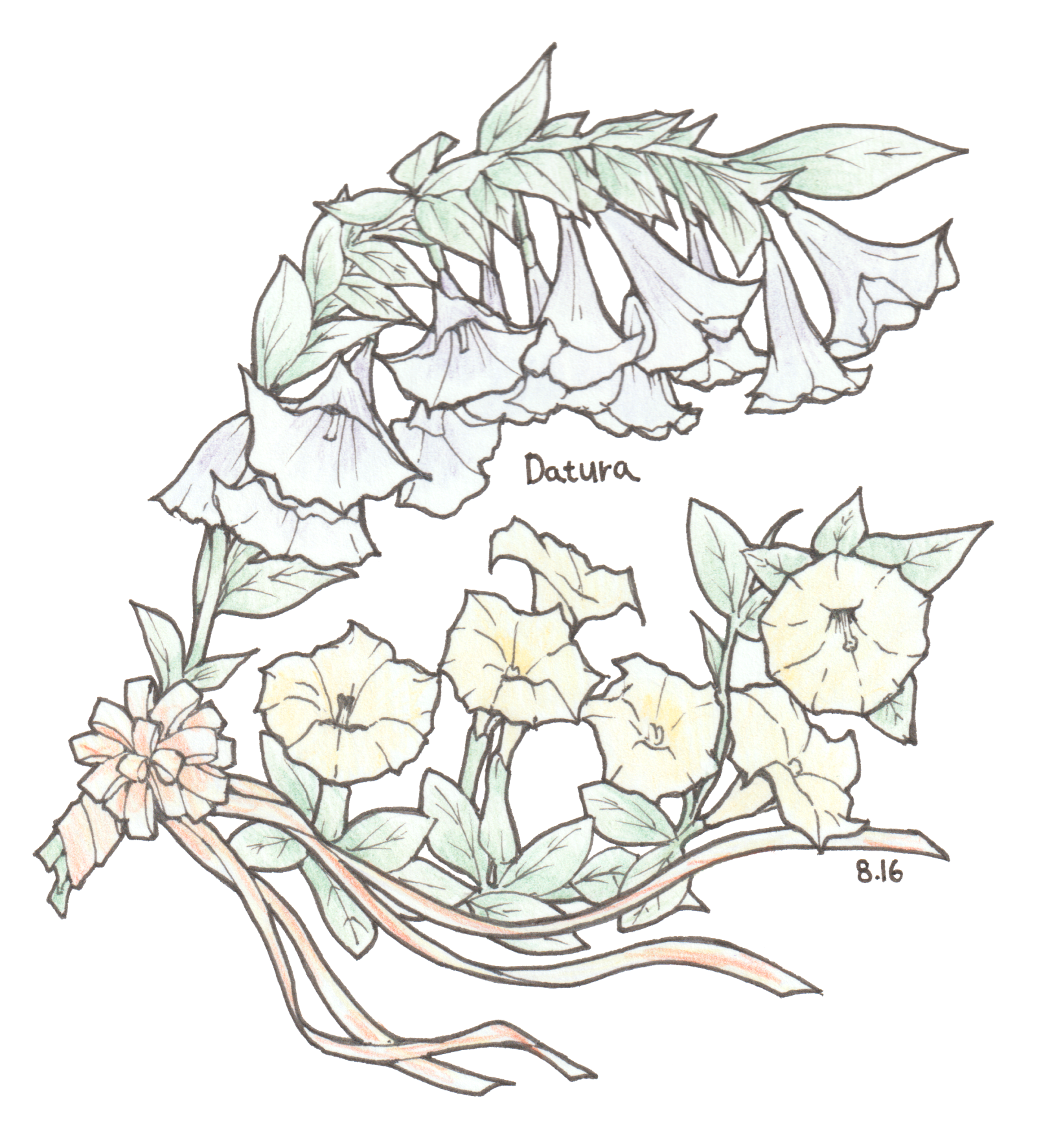 8月16日