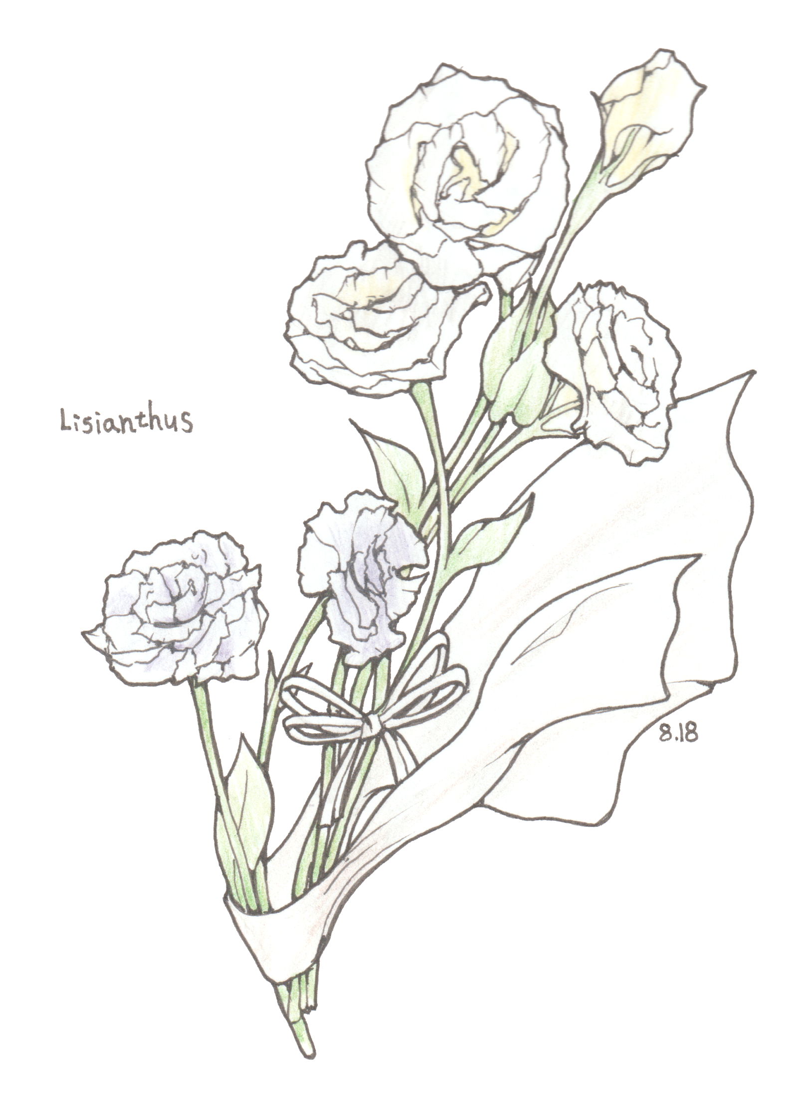 8月18日