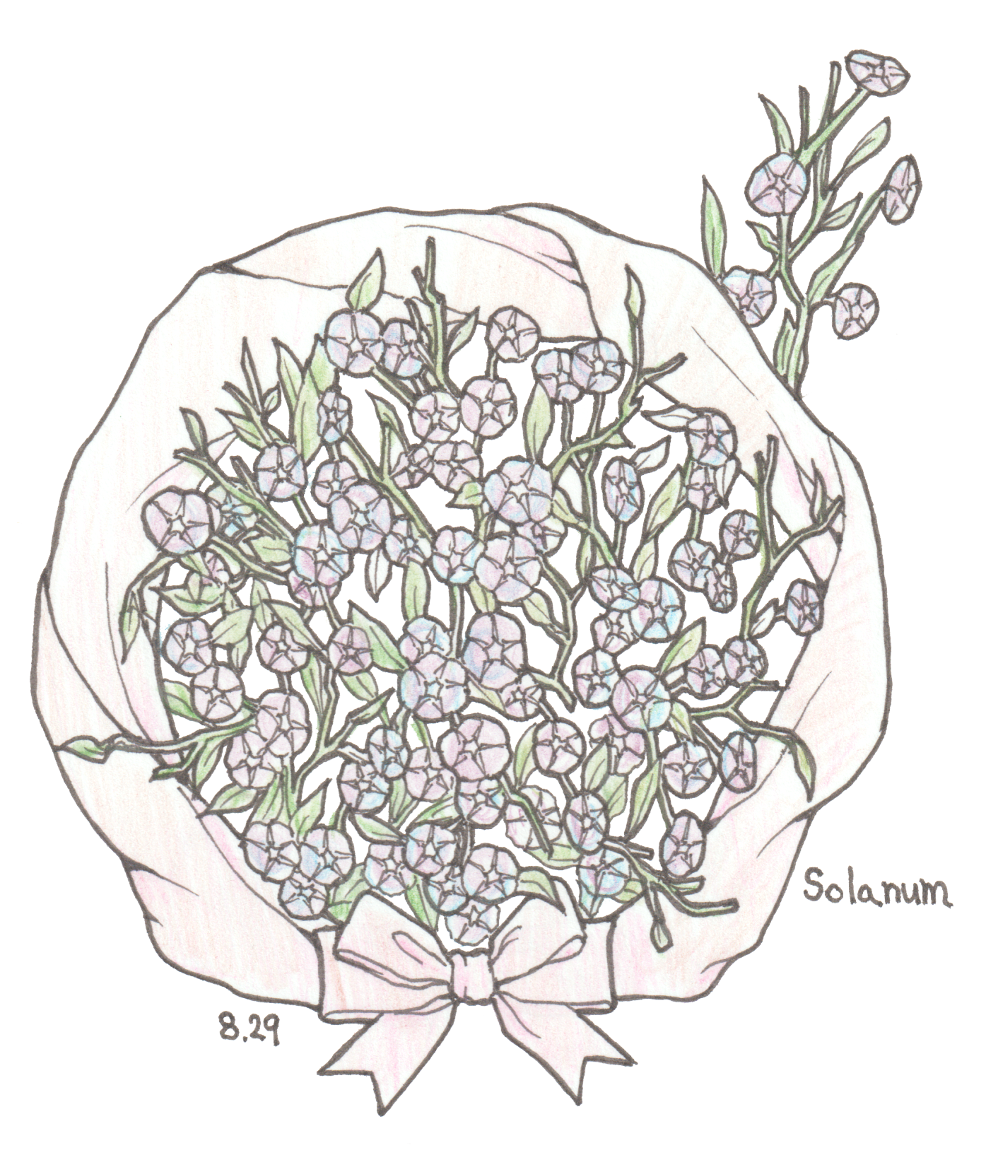 8月29日