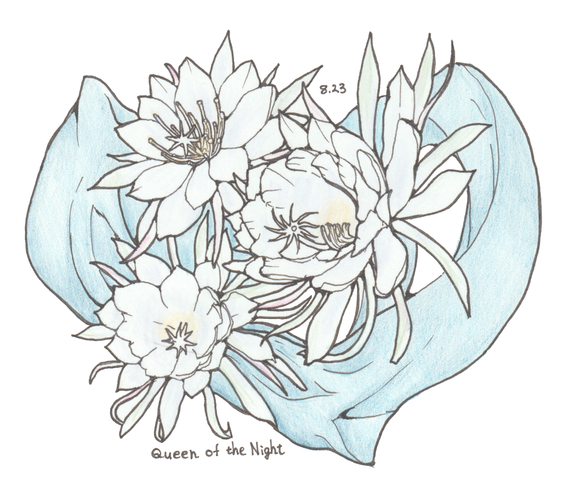 8月23日