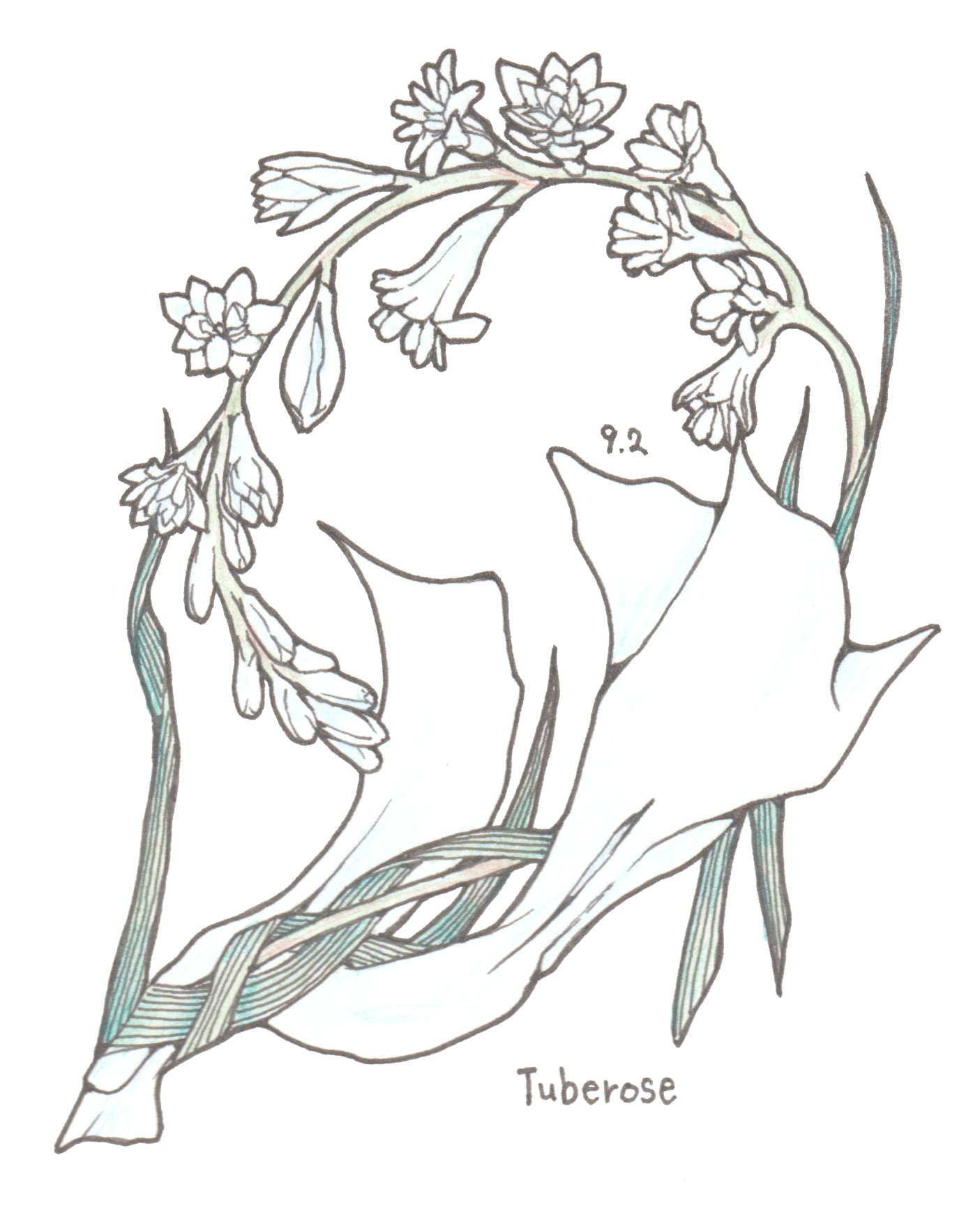 9月2日