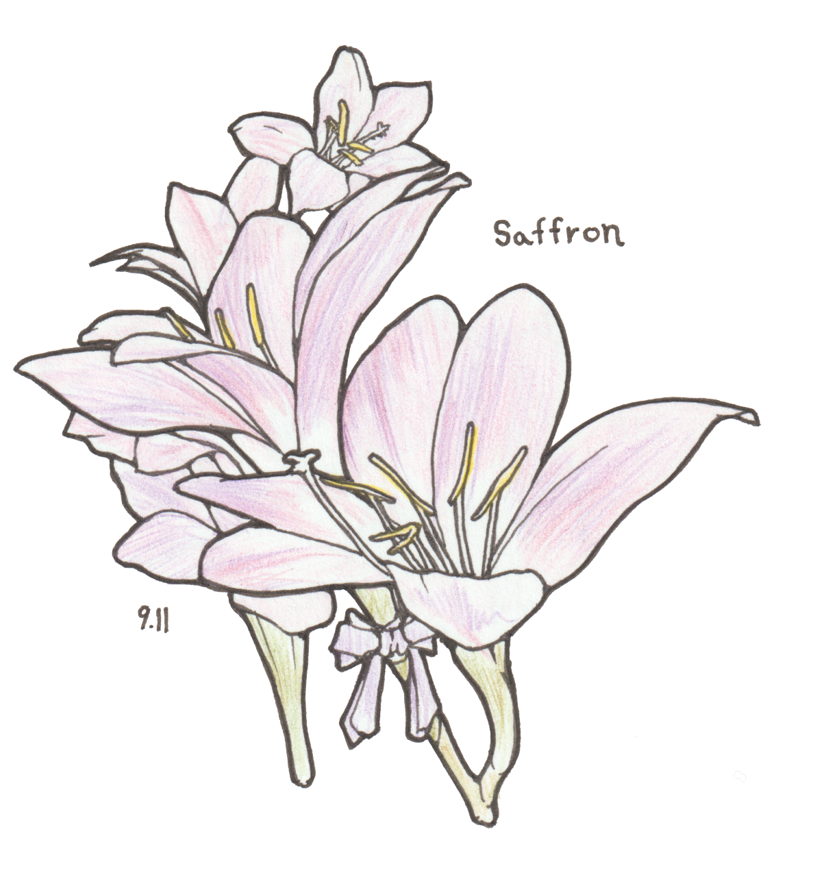 9月11日