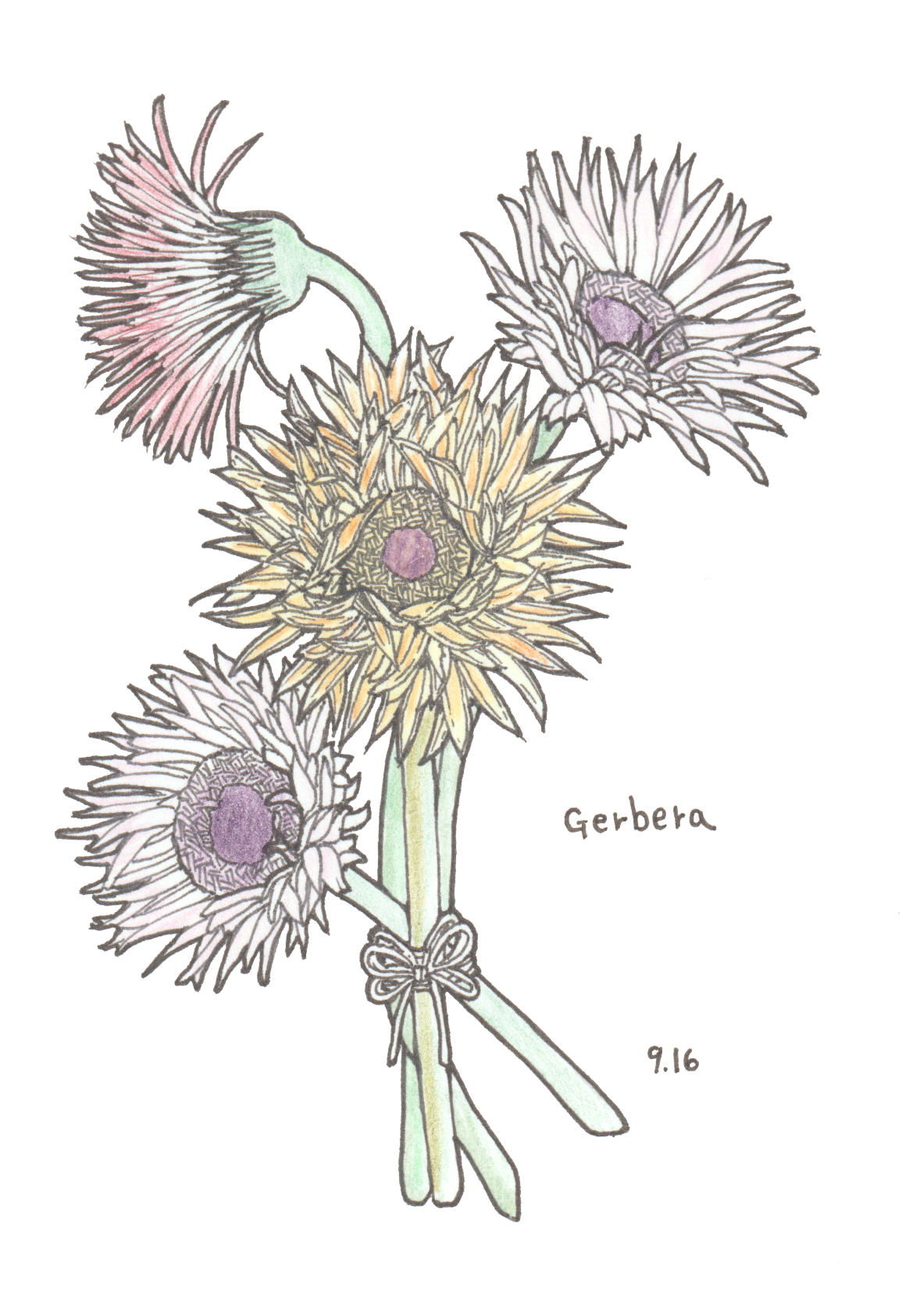 9月16日