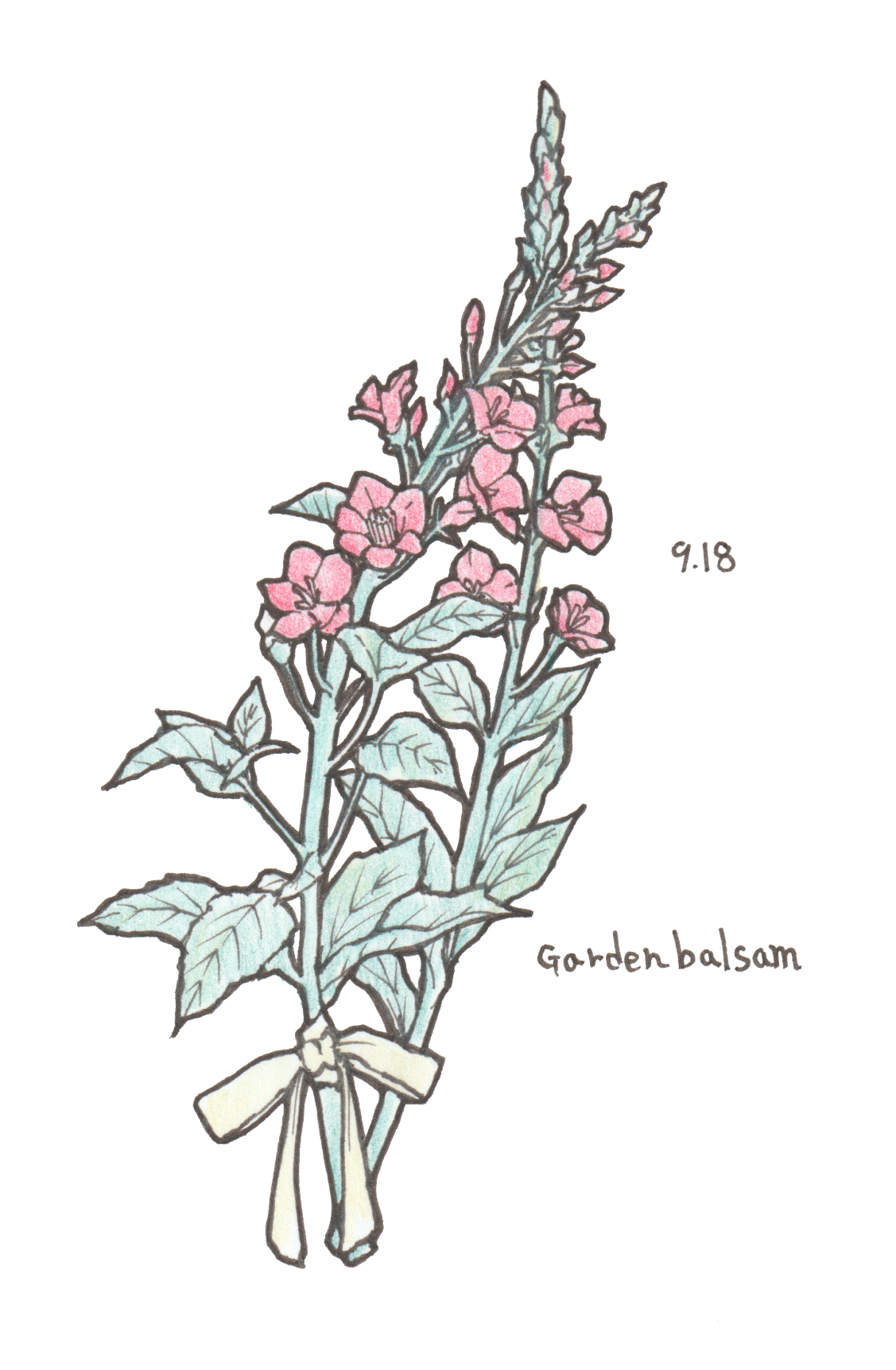9月18日