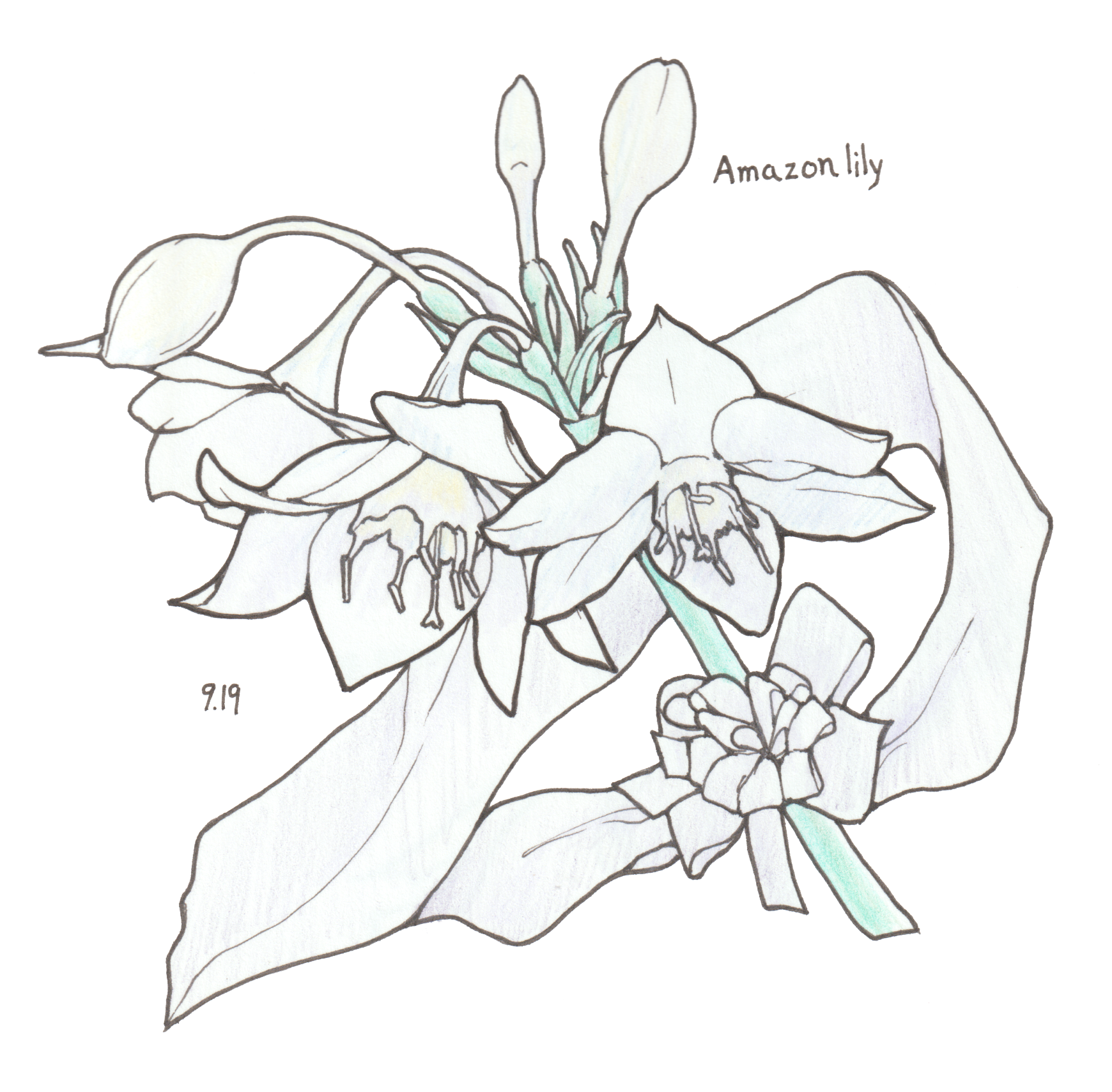 9月19日