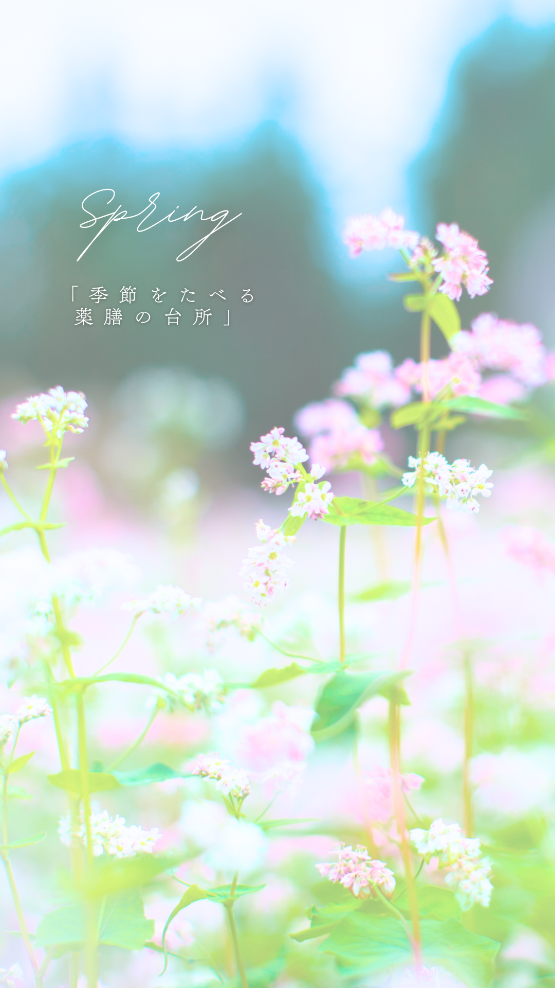 【巡りを整える 季節の薬膳🌿】