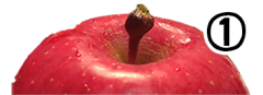 りんご1.png