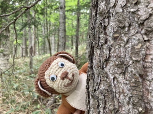 新年度の講座開催が決定、新しい講座も加わりました♪