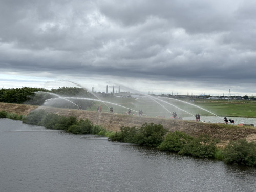 S__11780149_0.jpg