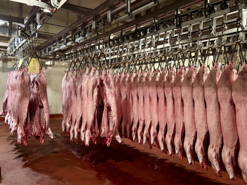 新潟市食肉センター②.jpg