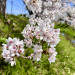 61305C66-70DB-40ED-8735-0A6355572D3A.jpg
