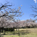 CC78DAEF-6A53-4D5F-AA97-0BE674A9AE5D.jpg