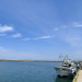 S__19636255_0.jpg