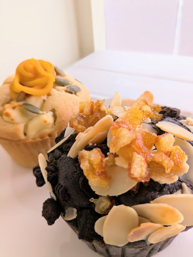 本日のお品書き