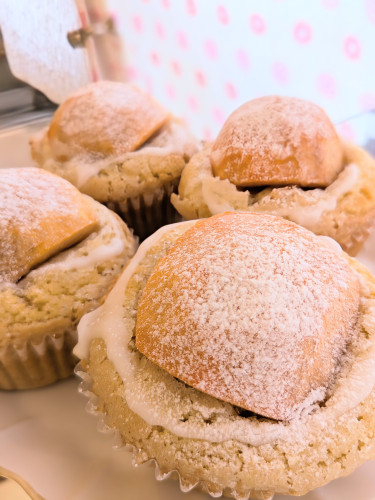 本日のお品書き