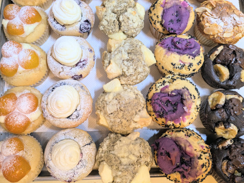 本日のお品書き