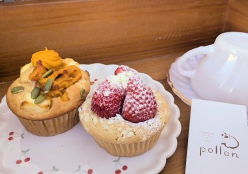 本日のお品書き