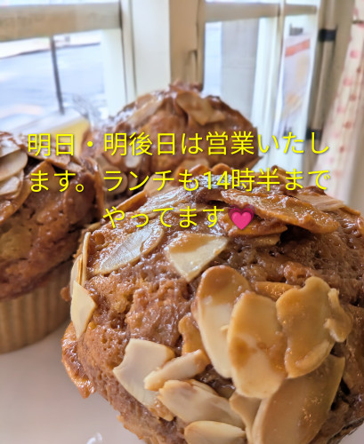 本日のお品書き