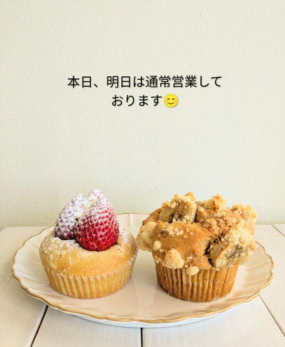 本日のお品書き