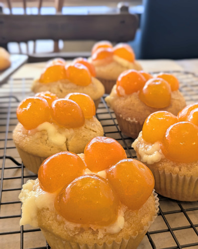 本日のお品書き