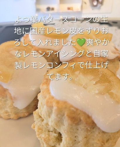 本日のお品書き