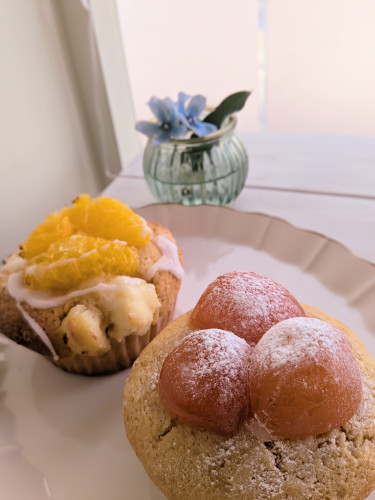 本日のお品書き