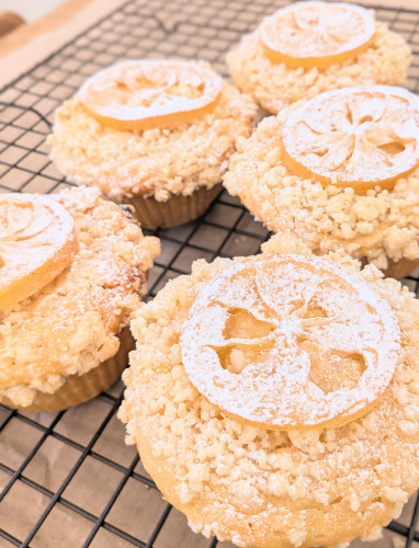 本日のお品書き