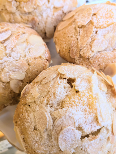 本日のお品書き