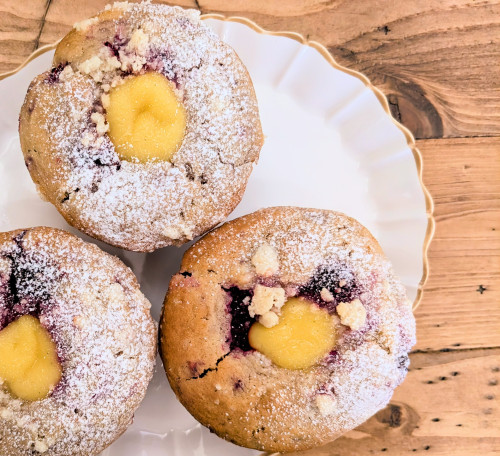 本日のお品書き