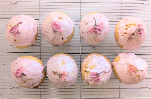 本日のお品書き