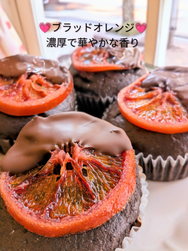 本日のお品書き