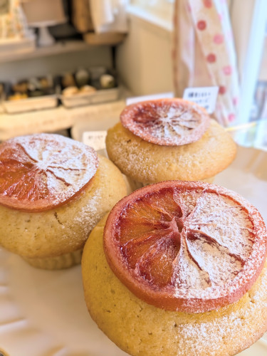 本日のお品書き