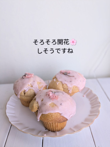 本日のお品書き