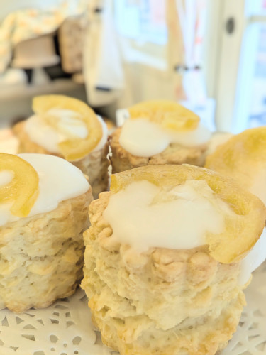 本日のお品書き