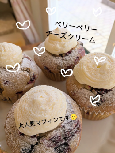 本日のお品書き