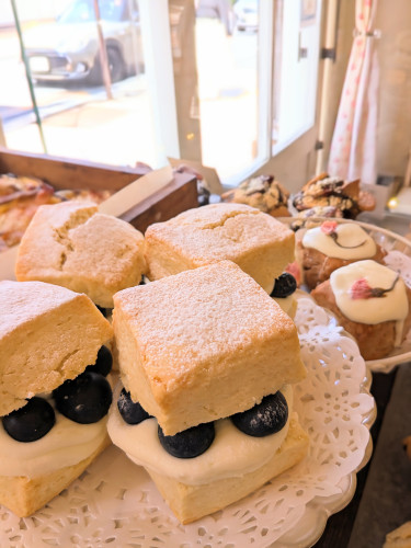 本日のお品書き