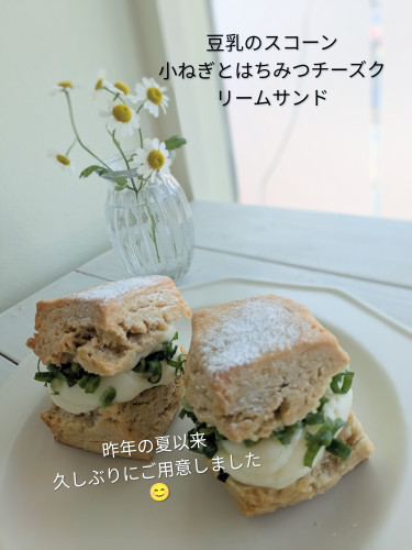 本日のお品書き