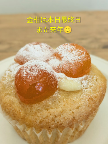 本日のお品書き